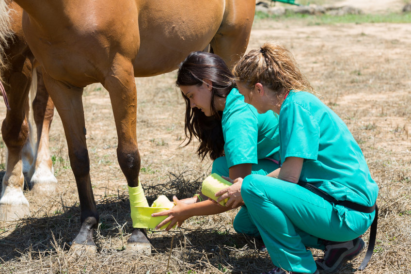 complication of bandaging